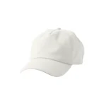 Frank Ocean Blond Vintage Cap (1)